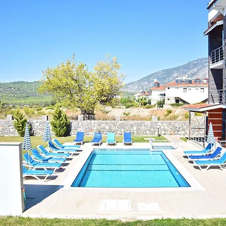 Arion 3 *